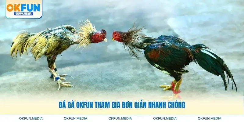 tham-gia-da-ga-okfun-don-gian